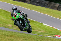 PJ-Motorsport-Photography-2020;anglesey;brands-hatch;cadwell-park;croft;donington-park;enduro-digital-images;event-digital-images;eventdigitalimages;mallory;no-limits;oulton-park;peter-wileman-photography;racing-digital-images;silverstone;snetterton;trackday-digital-images;trackday-photos;vmcc-banbury-run;welsh-2-day-enduro